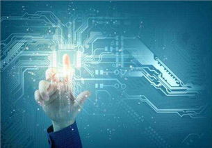 吳中區(qū)口碑佳、價(jià)格優(yōu)的系統(tǒng)開發(fā)與互聯(lián)網(wǎng)信息技術(shù)服務(wù)